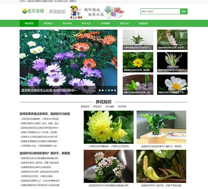 花卉养殖新闻资讯类pbootcms模板(PC+WAP) 绿色花草植物网站源码