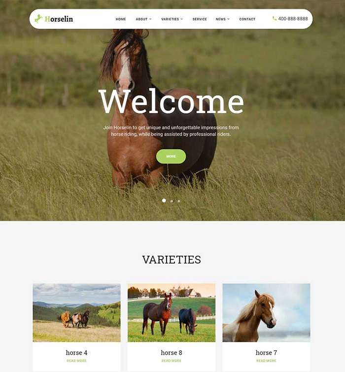 养马场畜牧业英文网站pbootcms模板(自适应手机) 马匹饲养养殖场
