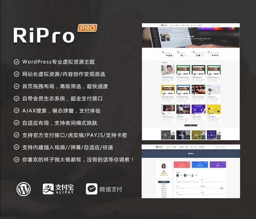 WordPress主题 RiPro 5.0 原版